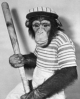 Sox Monkey Right Fielder