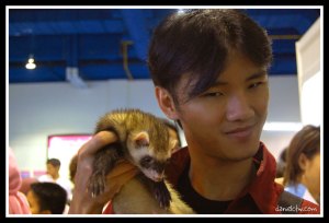 Yoshii Min, ferret trainer for the Hokkaido Nippon Ham Fighters, shows off one of the ferrets traded to the Gray Sox for relief pitcher Sorrel Sacks. 